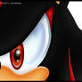 :: Shadow the Hedgehog-