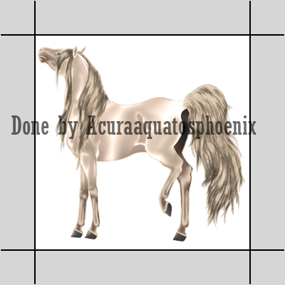 Cremello arabian coat