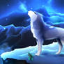 Silent Night, Howly Night