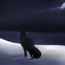 DOTW: the night...