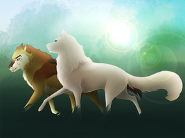 DOTW: Morning routine