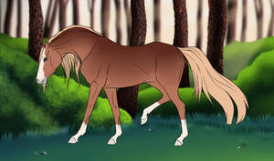 DivineIslens application: Shachar