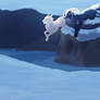 DOTW: Winter race