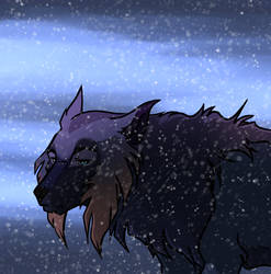 And then it snower again