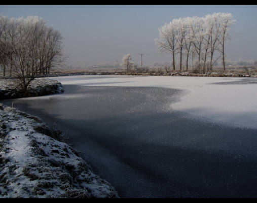 winter landscape.