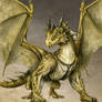 Bronze Dragon