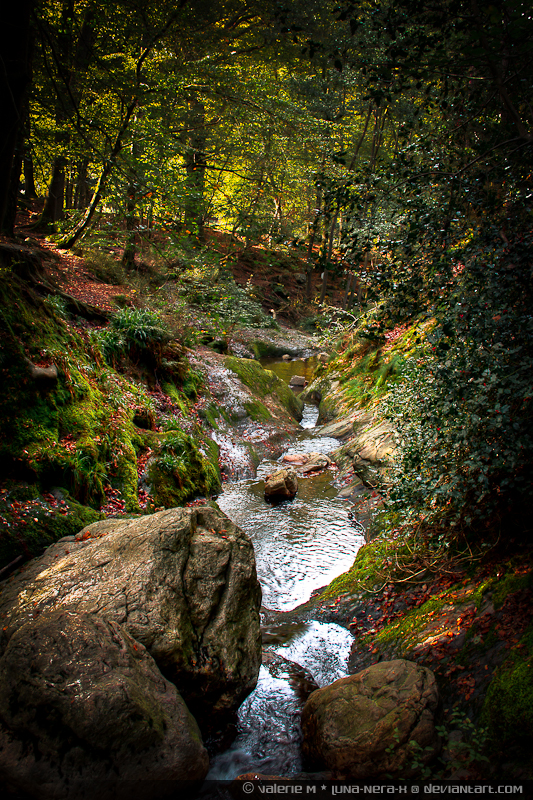 Ninglinspo - Fairytale River