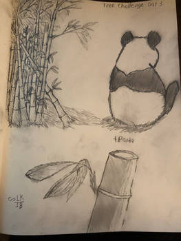 Bamboo sketch