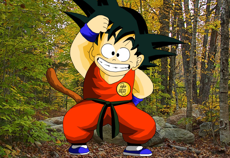 Kid Goku Monkey style