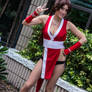 Mai Shiranui 2