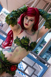 Poison Ivy 25