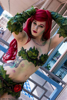 Poison Ivy 25