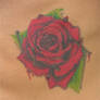 rose tattoo