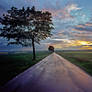 A road reflecting the sky