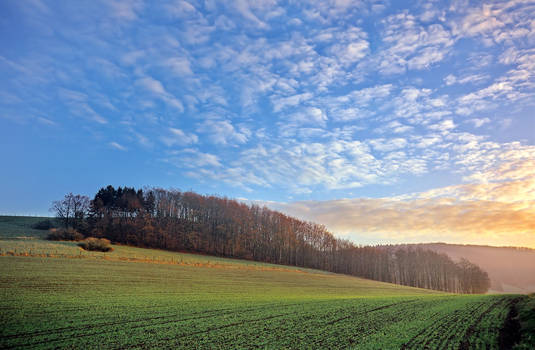 Wintertime landscape, Lippe