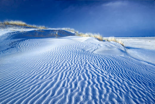 Frost on the dunes II, Baltrum Island, Germany