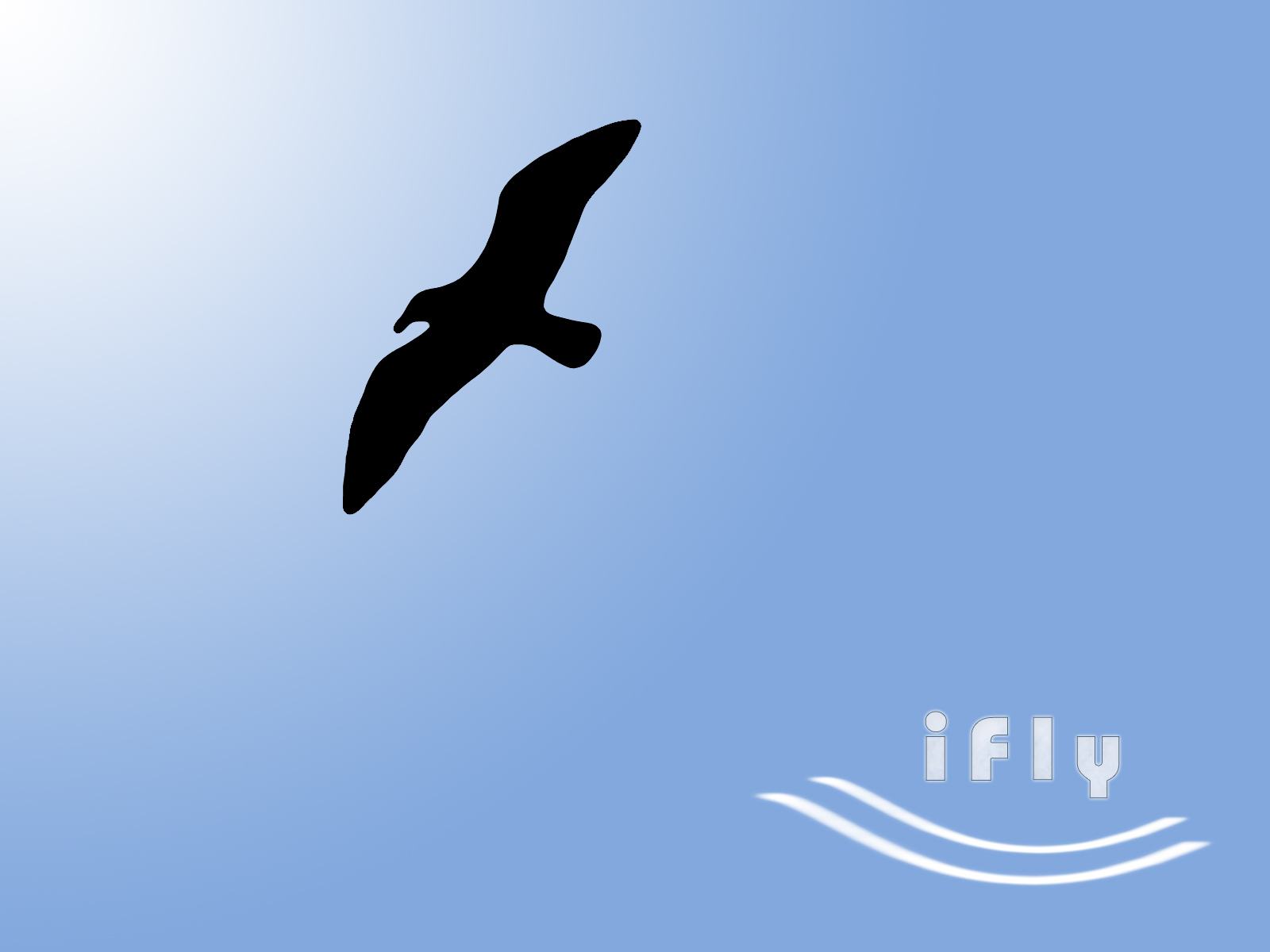 iFly