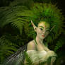 Ferny Fae