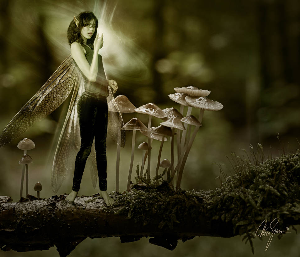 Waldpilze mit Nuni by theogroen on DeviantArt Waldpilze mit Nuni by theogroen on DeviantArt