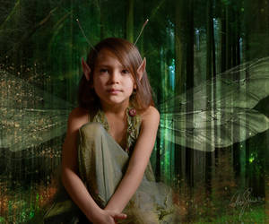 Antonia the lilies forest faery
