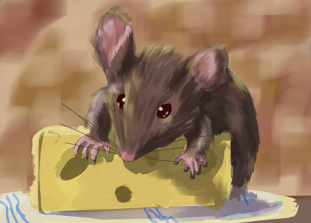Lab Rats Challenge Cheese Rat Cheese by DayglowDye on DeviantArt