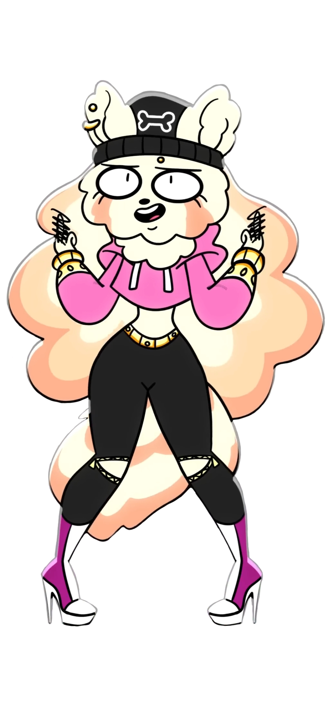RJ The Roodle Vector by fluffytown123456 on DeviantArt