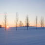 Winter Sunrise 2