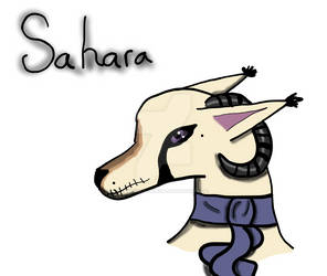 Sahara