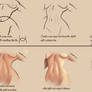 Making a Sexy female belly (GIFT)