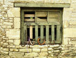Horseshoe Window by tartanink