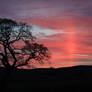 Light Pillar