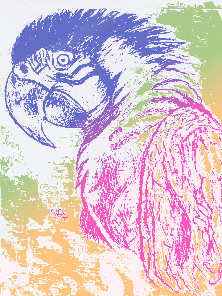 Parrot (2)-color-