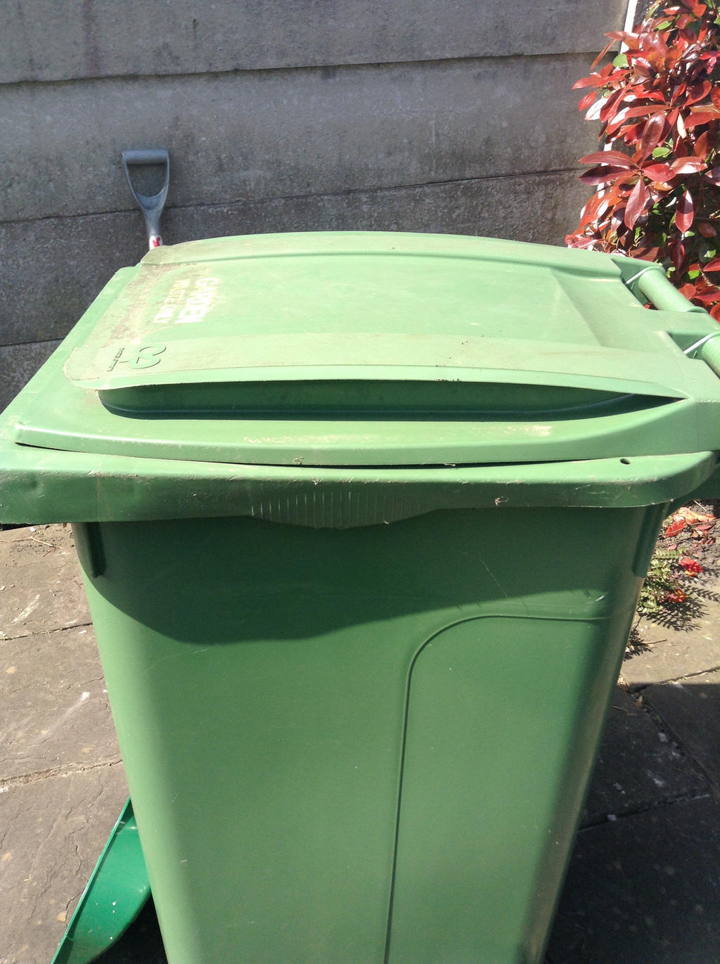 Green wheelie bin