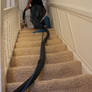Carpet Cleaning Service London