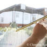 Window Cleaning Service London