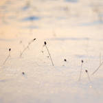 .: wish you were here :. by biszkopciik
