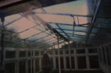 glasshouse