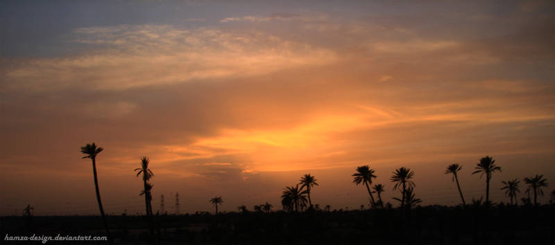 Palm And Sunset Marrakech