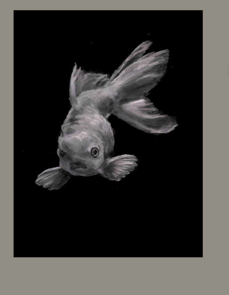 Rendering homework November 2021 Fish by princesskvetchalot on DeviantArt