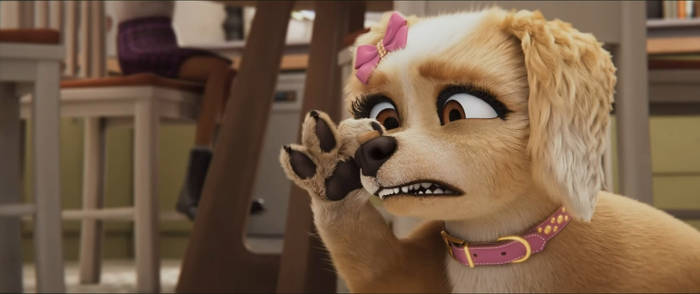 Gracie And Pedro-Gracie 1