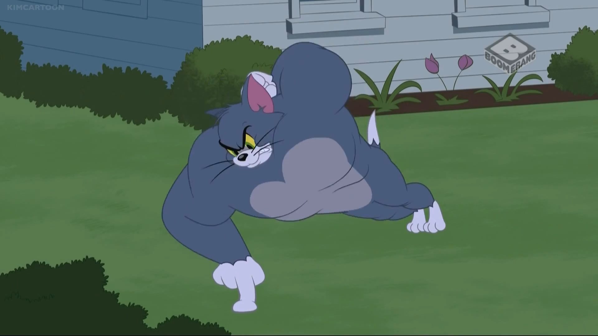 Tom Jr Deviantart TomandJerryShow2014 S4 E1a-Tom 5 by GiuDiRosso on DeviantArt