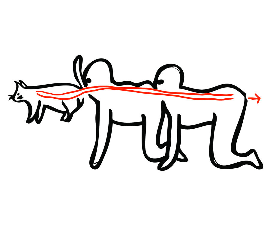 Human Centipede by IanVC on DeviantArt