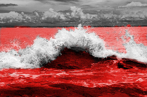 Кровавое море Кровавое море