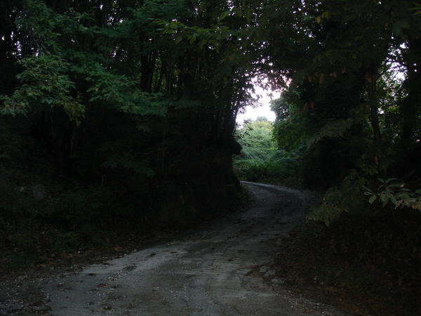 Scary Path by Veinctor on DeviantArt