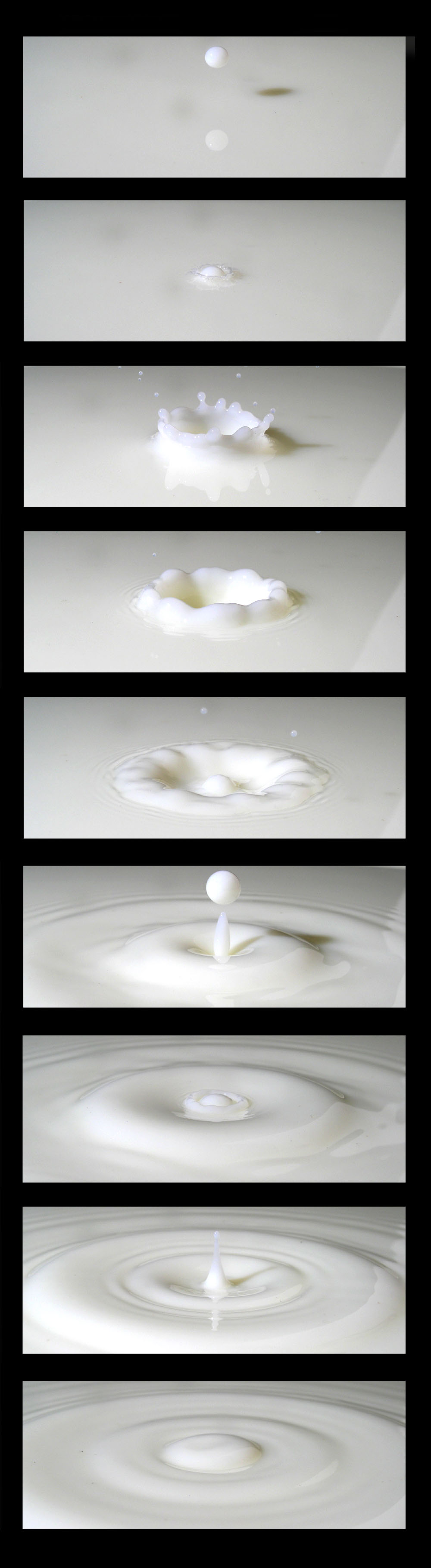 Milk Series