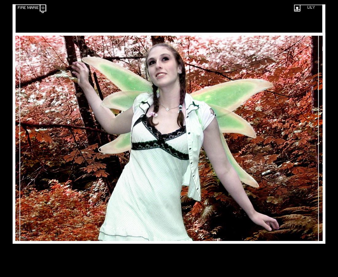 Fairy Time: Lily 7