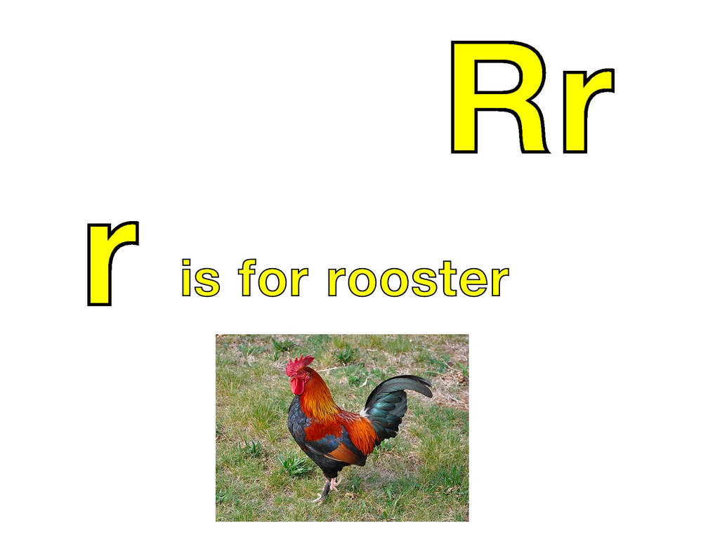 R is for Rooster by EmmettLovesAnimals on DeviantArt