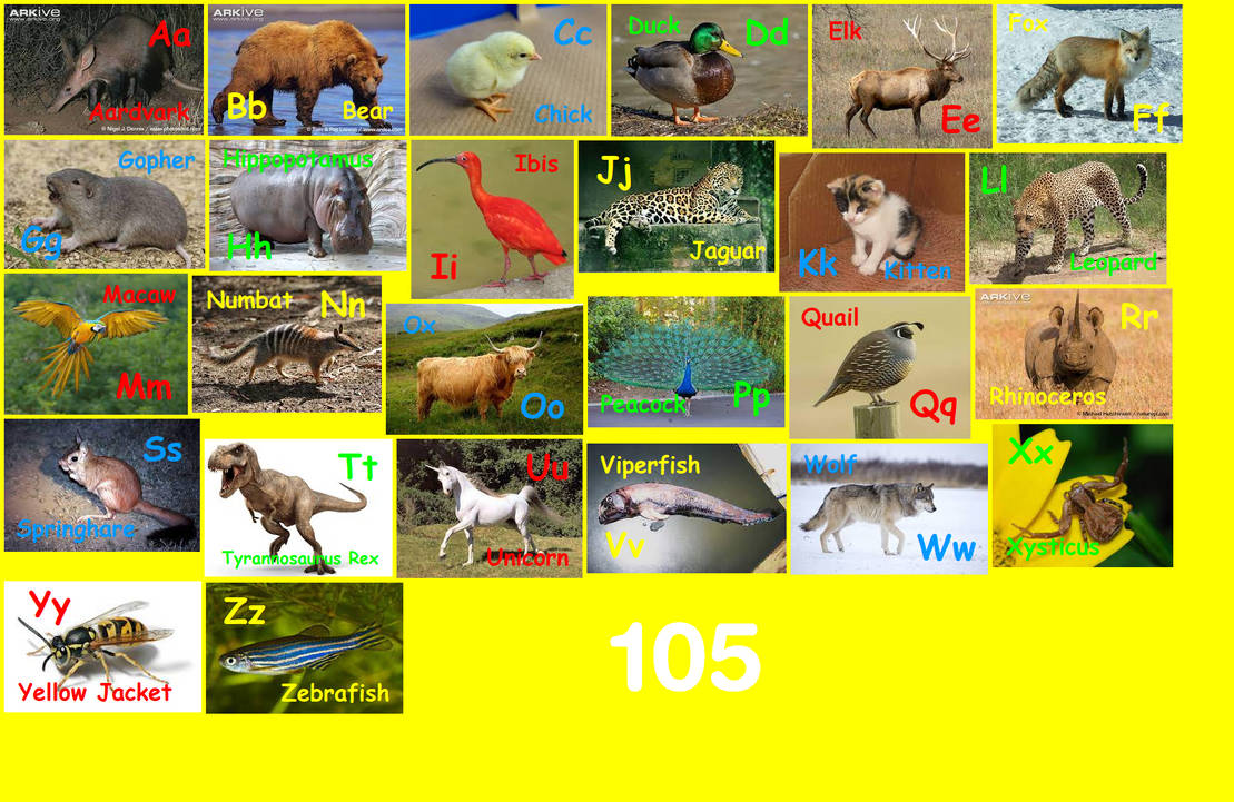 Animal Alphabet 105 by EmmettLovesAnimals on DeviantArt