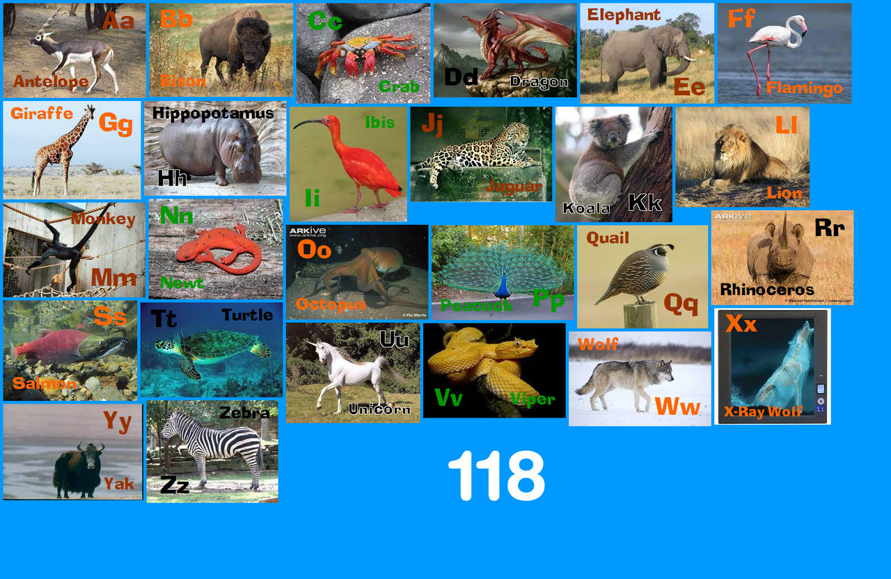 Animal Alphabet 118 by EmmettLovesAnimals on DeviantArt