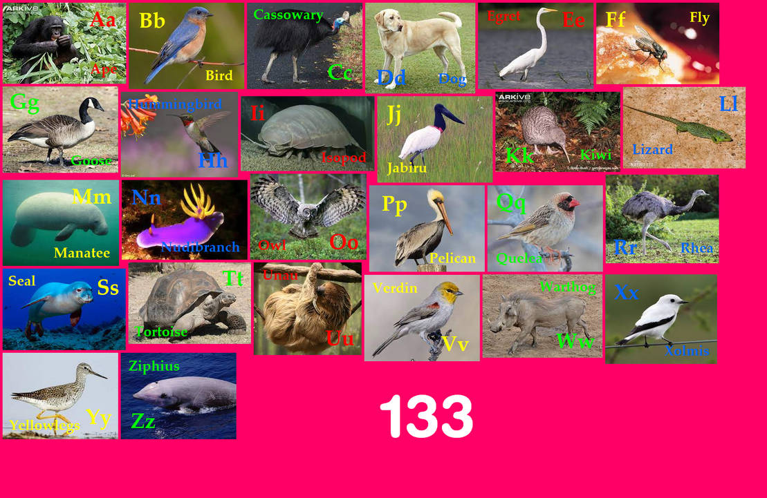 Animal Alphabet 133 by EmmettLovesAnimals on DeviantArt